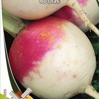 Nabo 60 Dias Nabo 60 Dias