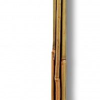 Tutor Bambu 120cm Tutor Bambu 120cm