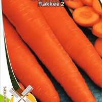 Cenoura Flakée 2 Cenoura Flakée 2