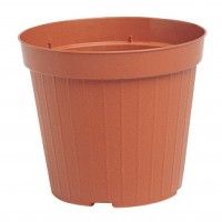 Vaso Cultura Terracota 13cm Vaso Cultura Terracota 13cm