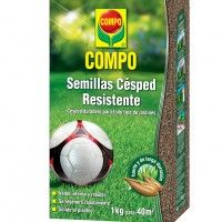 Semente Relva Resistente 1kg Semente Relva Resistente 1kg
