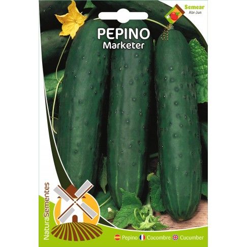 Pepino Marketer Pepino Marketer