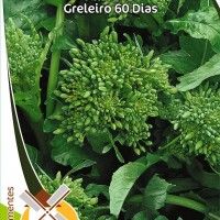 Nabo Greleiro 60 Dias Nabo Greleiro 60 Dias