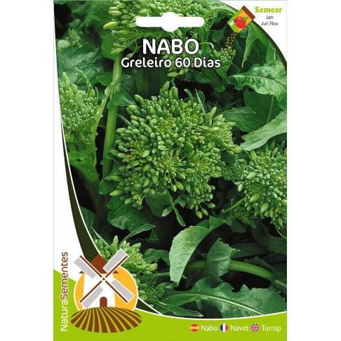 Nabo Greleiro 60 Dias Nabo Greleiro 60 Dias