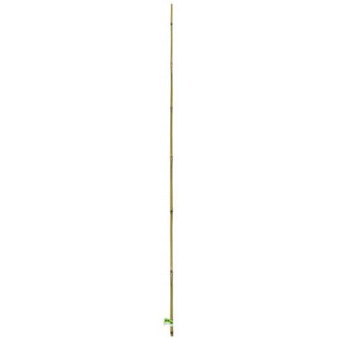 Tutor Bambu 120cm Tutor Bambu 120cm