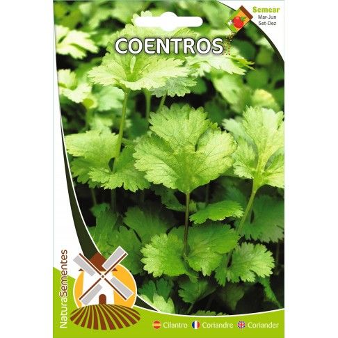 Coentros Coentros
