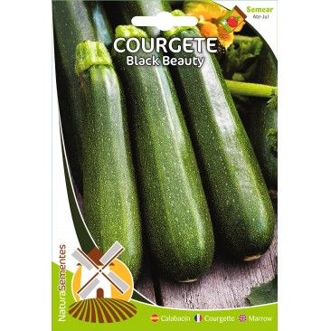 Courgete Black Beauty