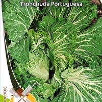 Couve Tronchuda Portuguesa Couve Tronchuda Portuguesa