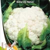 Couve Flor Bola De Neve Couve Flor Bola De Neve