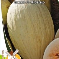 Melão Branco Do Ribatejo Melão Branco Do Ribatejo