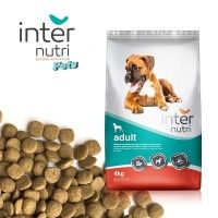 Alimento Para Cão New Adult 4kg Alimento Para Cão New Adult 4kg