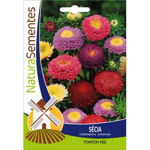 Secias Pompom Mistura Secias Pompom Mistura