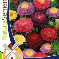 Secias Pompom Mistura Secias Pompom Mistura