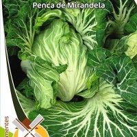 Couve Penca De Mirandela Couve Penca De Mirandela