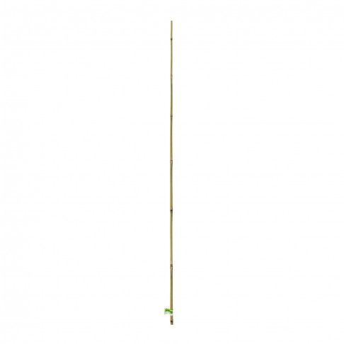 Tutor Bambu 120cm Tutor Bambu 120cm