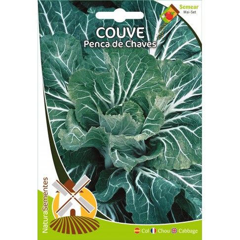 Couve Penca De Chaves Couve Penca De Chaves