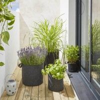 Saco P/Planta Diam 350mm Feltro Saco P/Planta Diam 350mm Feltro