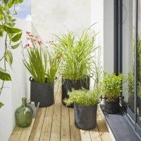 Saco P/Planta Diam 350mm Feltro Saco P/Planta Diam 350mm Feltro