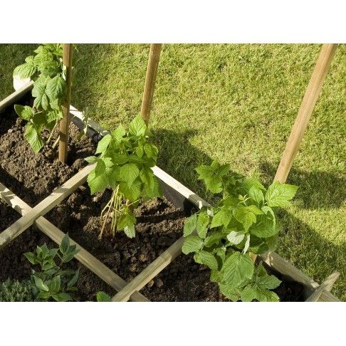 Tutores Horticolas 150x2,7 6un Tutores Horticolas 150x2,7 6un