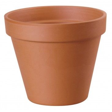 Vaso Standard 10