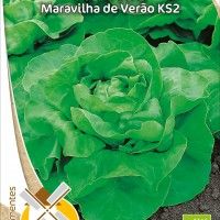 Alface Maravilha De Verão Ks2 Bio Alface Maravilha De Verão Ks2 Bio