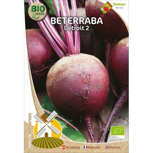 Beterraba Do Egipto Bio Beterraba Do Egipto Bio