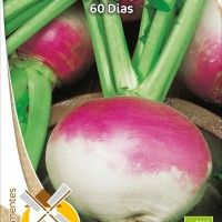 Nabo 60 Dias Bio Nabo 60 Dias Bio