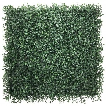 Jardim Vertical 4un 50x50cm Boxwood