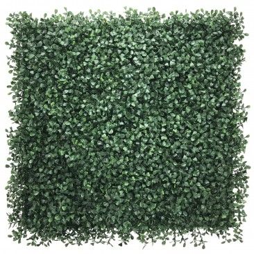 Jardim Vertical 4un 50x50cm Boxwood