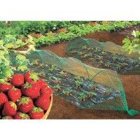 Rede Anti Passaro 8x10m Ne Birdnet Rede Anti Passaro 8x10m Ne Birdnet