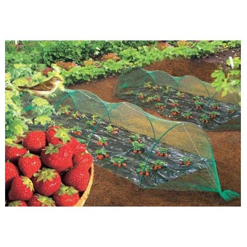 Rede Anti Passaro 8x10m Ne Birdnet Rede Anti Passaro 8x10m Ne Birdnet