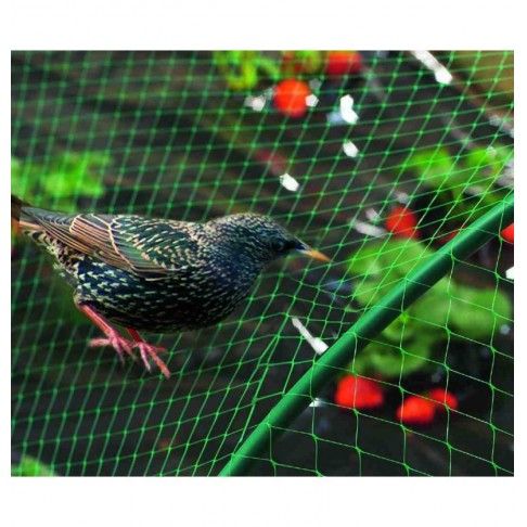 Rede Anti Passaro 8x10m Ne Birdnet Rede Anti Passaro 8x10m Ne Birdnet