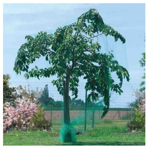 Rede Anti Passaro 8x10m Ne Birdnet Rede Anti Passaro 8x10m Ne Birdnet