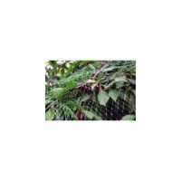 Rede Anti Passaro 8x10m Ne Birdnet Rede Anti Passaro 8x10m Ne Birdnet