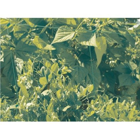 Rede Tutora 1x5m Verde Rede Tutora 1x5m Verde