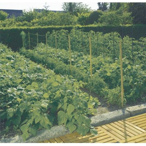 Rede Tutora 1x5m Verde Rede Tutora 1x5m Verde