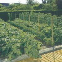 Rede Tutora 1x5m Verde Rede Tutora 1x5m Verde