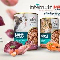 Alimento Para Gato Salmão 415g Alimento Para Gato Salmão 415g
