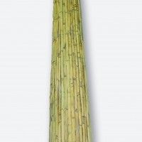 Caniçado Natural Meia Cana 1,5x5m Caniçado Natural Meia Cana 1,5x5m